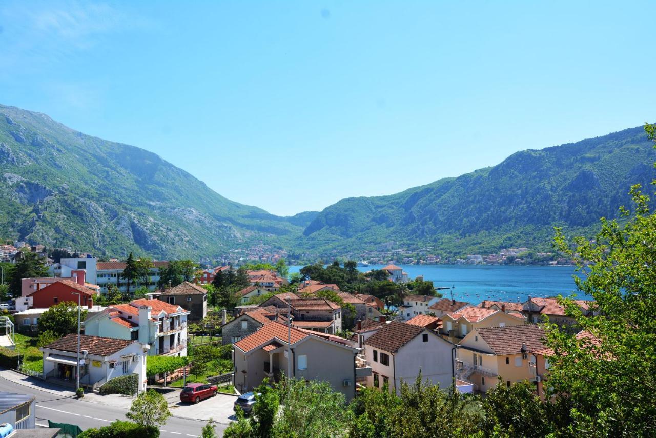 Olive Kotor
