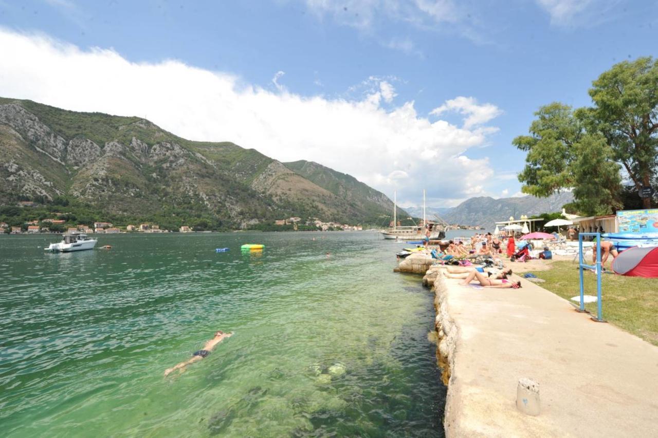 Olive Apartment Kotor